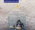 کتاب کوچک تنهایی
